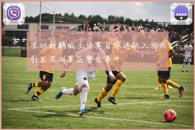 深圳新鹏城主场赛后球迷跳入场内引发深圳赛区警告事件