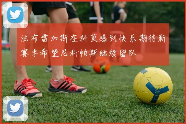 法布雷加斯在科莫感到快乐期待新赛季希望尼科帕斯继续留队
